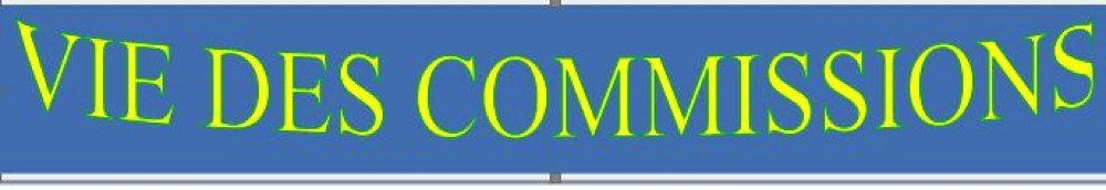 VIE DES COMMISSIONS